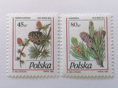 Fi 3382-83** 1995 r.