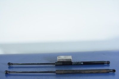 Bmw 6 f13 амортизаторы задний крышки 7228501 фото №1