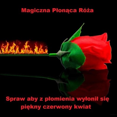 Magiczna sztuczka - Magiczna róża