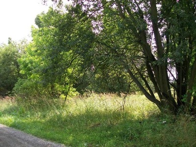 Działka, Grodzisko, 1040 m²