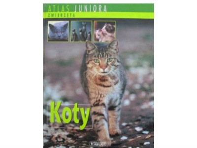 Koty Atlas juniora Zwierzęta - p.zbiorowa