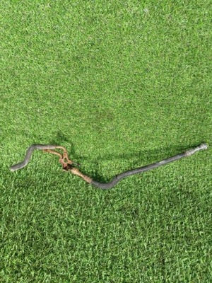 Шланг паливний subaru outback 4 r2010 фото №1