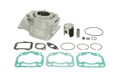 CYLINDER rotax APRILIA PEGASO SX RS AF1 Tuareg