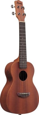Ibanez UKC 100 OPN Open Pore Natural ukulele
