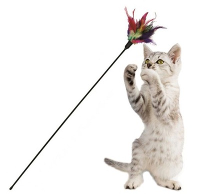 ZABAWKA WĘDKA DLA KOTA WABIK PIÓRKO PIÓRO KIJ 56CM