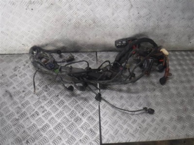 Жгут электрическая audi a4 b6 2.0 fsi фото №1