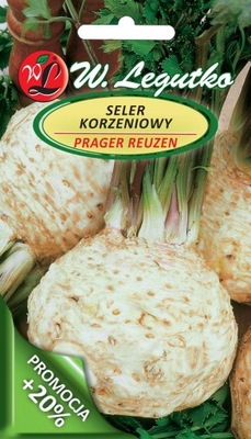 Seler korzeniowy Prager Riesen 1,2 g Legutko