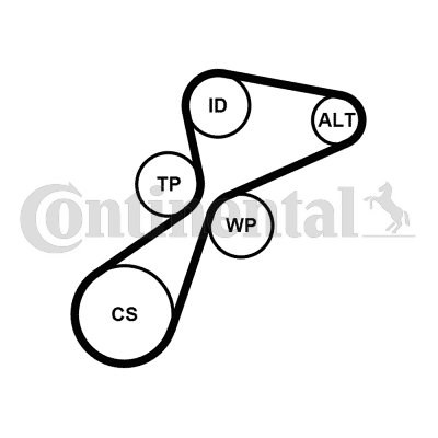COURROIE ROULEAUX MINI R56 R57 R58 R59 CLUBMAN R55 CLUBVAN R55 COUNTRYMAN R60 
