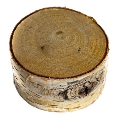 Krążek drewniany Floorpol śr. 100-200 mm gr. 35
