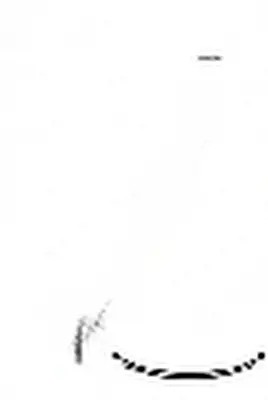 Рессора рессорный задний  2 щетки 621011 kilen citroen фото №1