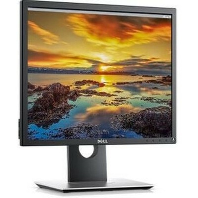 Monitor Dell P1917SE 1280 x 1024 px Czarny IPS