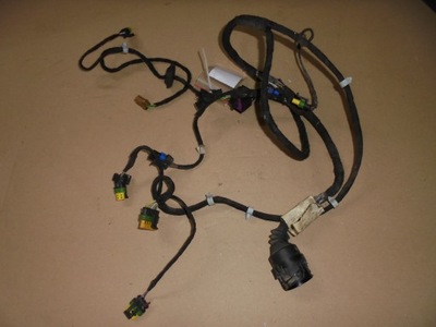 Жгут дверь правая задняя maserati quattroporte 06 фото №1