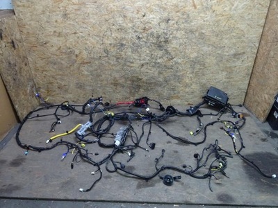 Коробка предохранителей жгут kia ceed iii 1.0 t фото №1