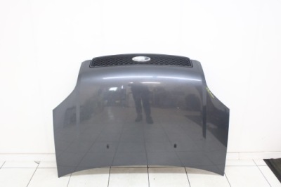 Ford fusion lift 2005r- капот кришка двигуна + решітка радіатора m2 - код лакофарбового покриття фото №1