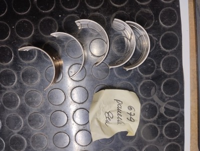 PANEWKI PANEWKA ŻUK