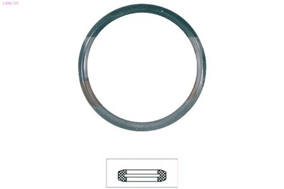 Eps прокладка термостата фото №1