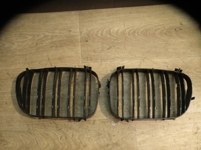 BMW E39 95-00 DEFLECTOR REJILLA DE CAPO JUEGO  