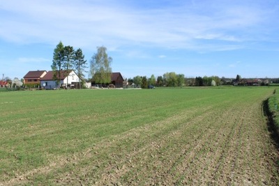 Działka, Cichawa, Gdów (gm.), 6600 m²