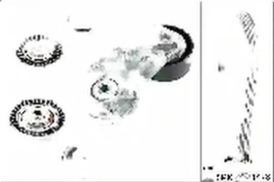 Набор ремень клиновой многоручейковый 529 0211 10 фото №1