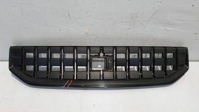 CALANDRE DU RADIATEUR GRILLE DE RADUATEUR POLESTAR II 2 - milautoparts.fr