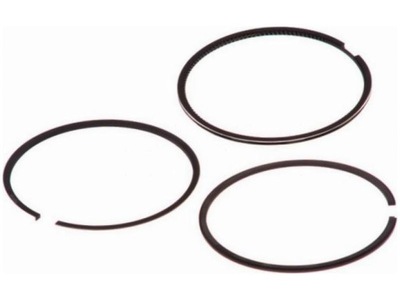 Кольца поршневые fiat scudo 1.9 фото №1