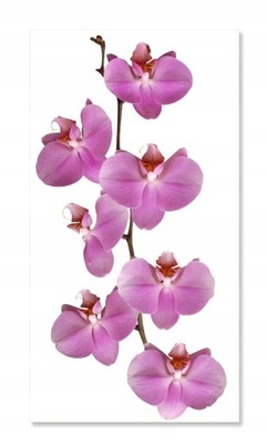 Naklejka z kwiatami kwiatki 50cm - Orchidea 2