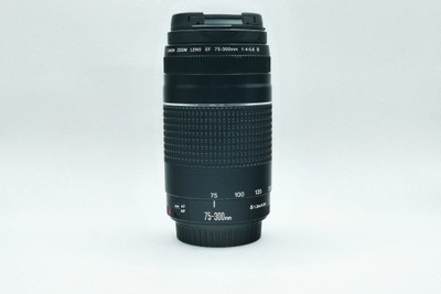 Canon Zoom EF 75-300 mm 1:4.5-5.6 III