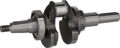 Wał korbowy 1302901120001