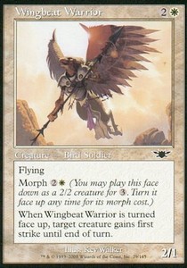Wingbeat Warrior LGN