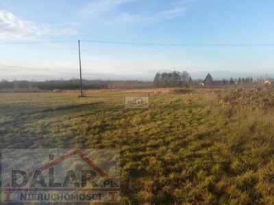 Działka, Machcin, Chynów, Grójecki, 12000 m²