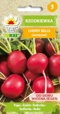 RZODKIEWKA Cherry Belle SZYBKO ROŚNIE nasiona 10g