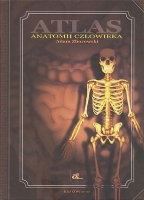 ATLAS ANATOMII CZŁOWIEKA - ADAM ZBOROWSKI