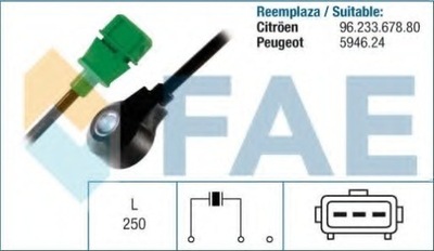 SENSOR DETONACIÓN STUKOWEGO CITROEN  