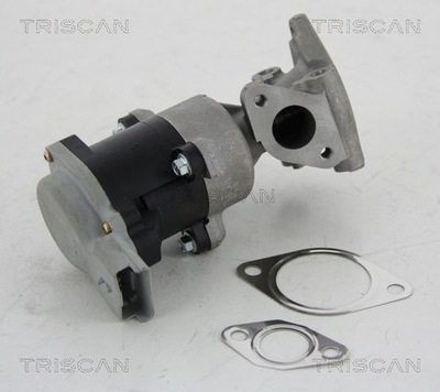 VALVE EGR CITROEN 2,7HDI PEUGEOT 2,7HDI 881310008  