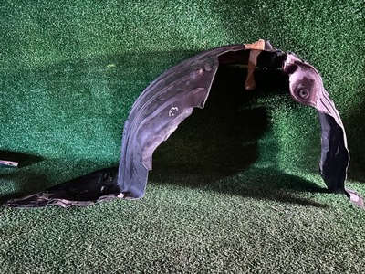 Підкрилок праве передні mazda 6 iii gj фото №1