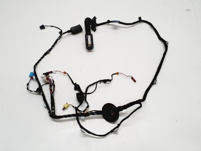 Audi a4 b9 8w0971029dc джгут двері фото №1