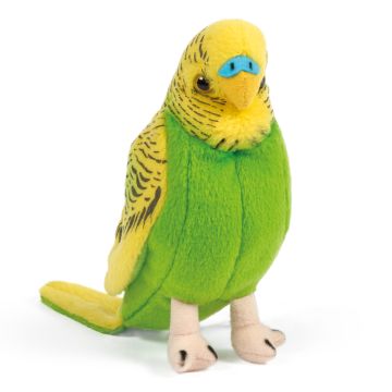 Papagáj Maskot Papagáj vlnitý Papagáj s hlasom