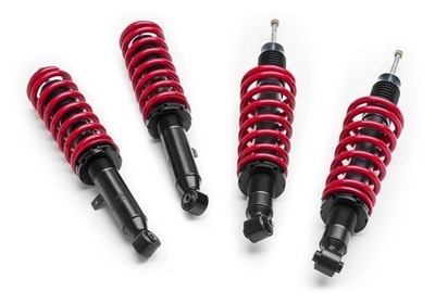 SUSPENSION SCREWED LEXUS IS200 (1998-2005) RACELAND  