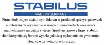 ПРУЖИНА ГАЗОВА (STÓŁ РОЗКЛАДНЕ) FORD (EU ПРУЖИНА ГАЗОВА, STÓŁ РОЗКЛАДНЕ