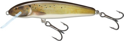 Salmo Wobler Minnow 6cm 6g Grayling Tonący