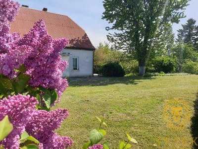 Dom, Nowa Wieś Malborska, 100 m²