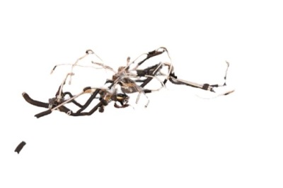 Трубка шланг кондиционера toyota land cruiser 100 оригинал фото №1