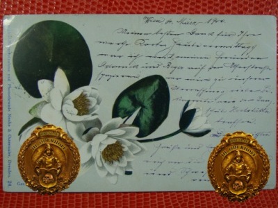 1900 Wien/Kwiaty Lux Express S666