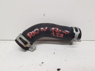 Kia rio iv v труба wąż трубка wody 1,2 2017- фото №1