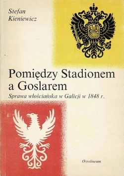 Pomiędzy Stadionem a Goslarem Stefan Kieniewicz