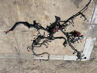 Электропроводка двигателя master iii 2.3 dci 135km фото №1