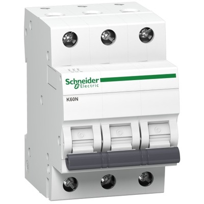 Wyłącznik nadprądowy Schneider Electric A9K02316