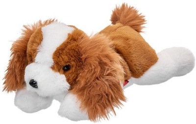 Maskotka Pies Cavalier leżący 35 cm