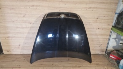 Капот кришка двигуна skoda octavia 2 2 04-07 9910 фото №1