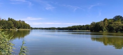 Dom, Lidzbarski, 95 m²